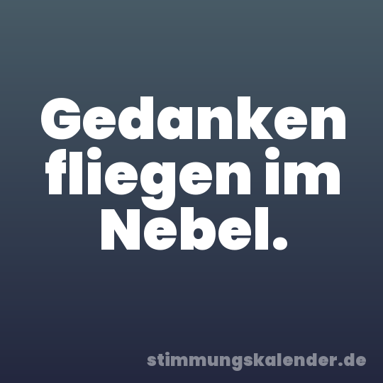 Gedanken fliegen im Nebel.