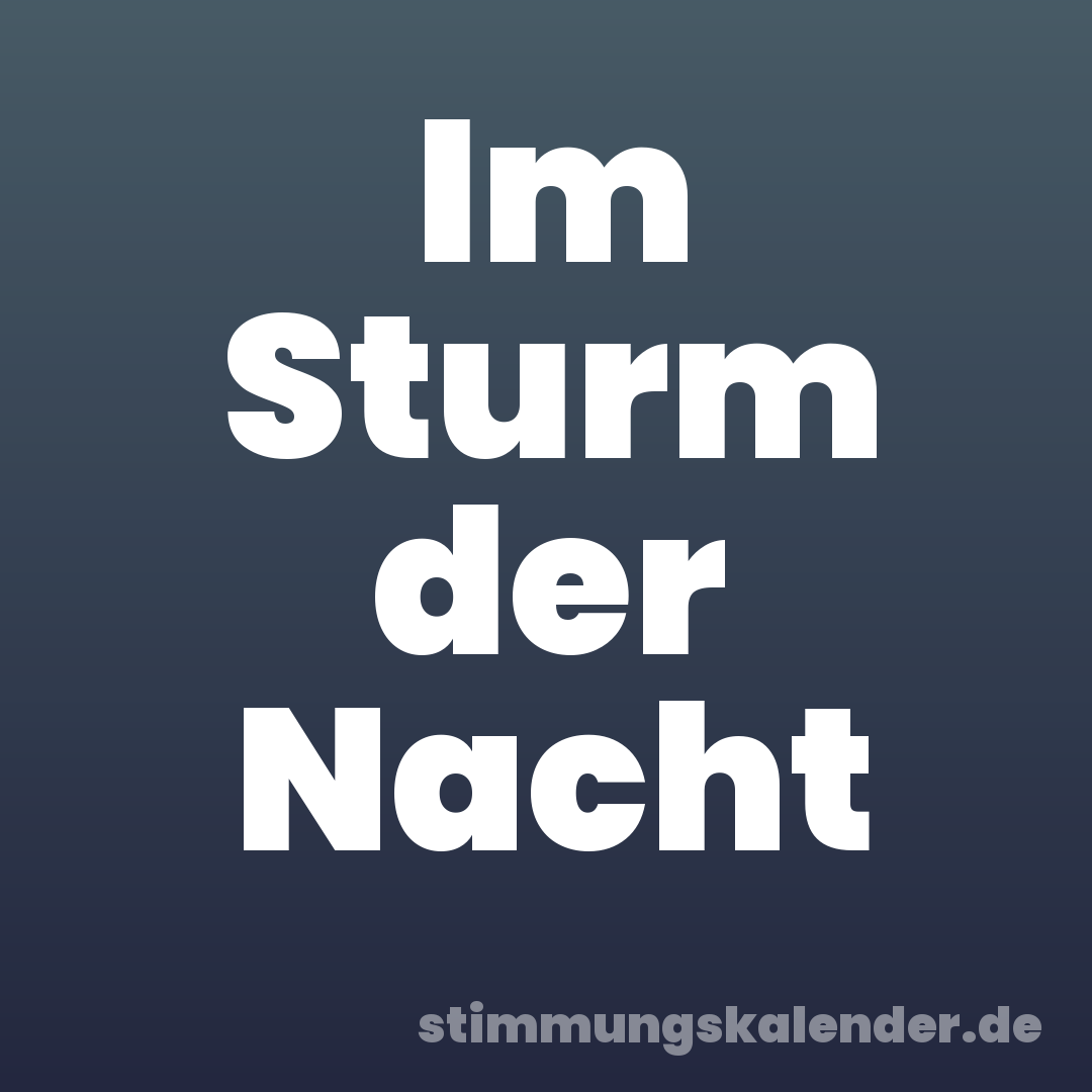 Im Sturm der Nacht