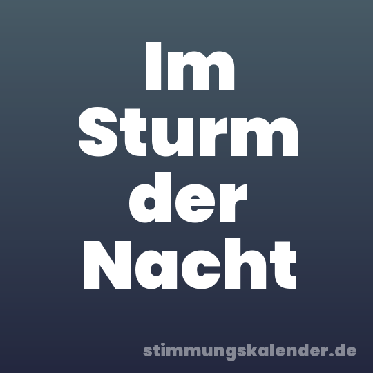 Im Sturm der Nacht