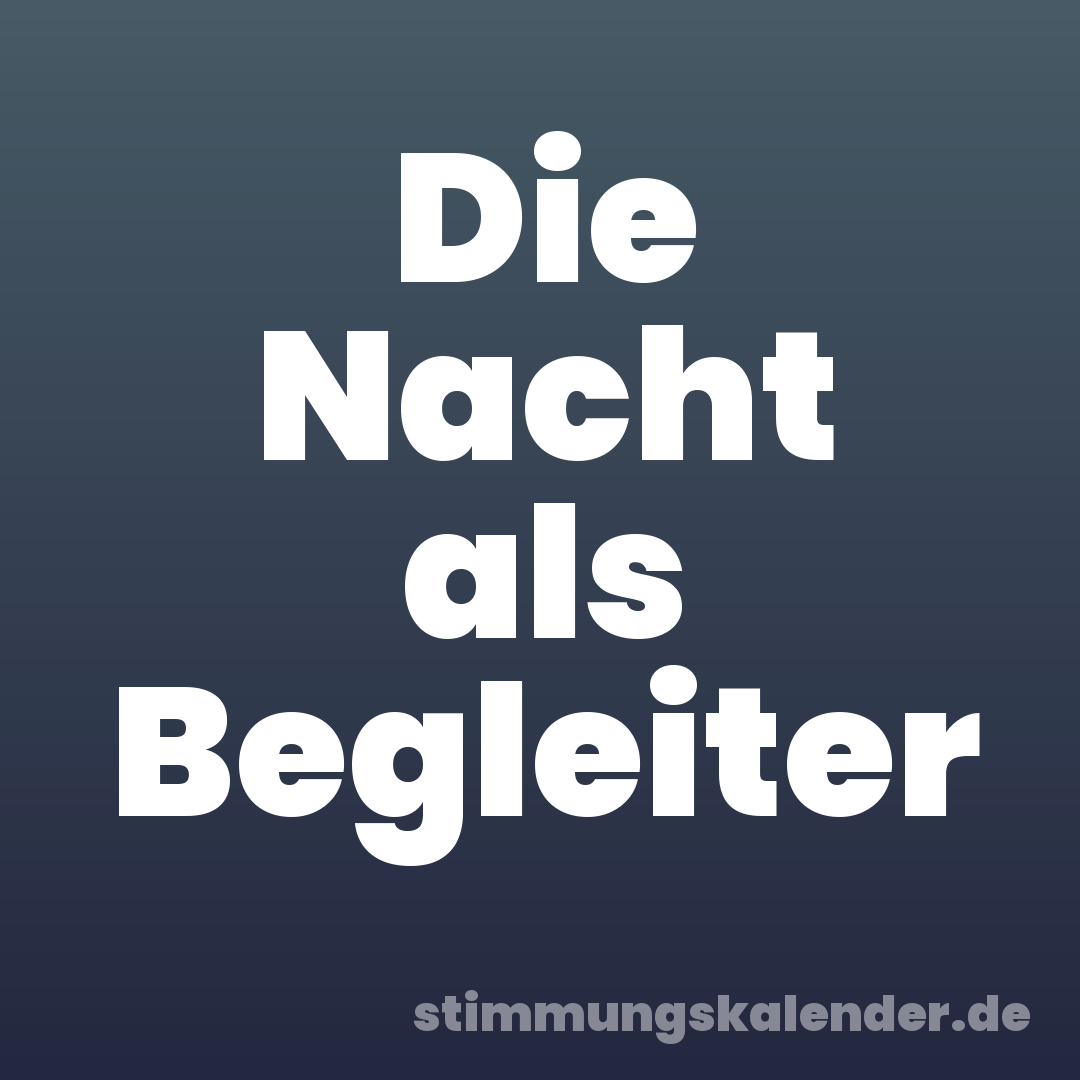 Die Nacht als Begleiter