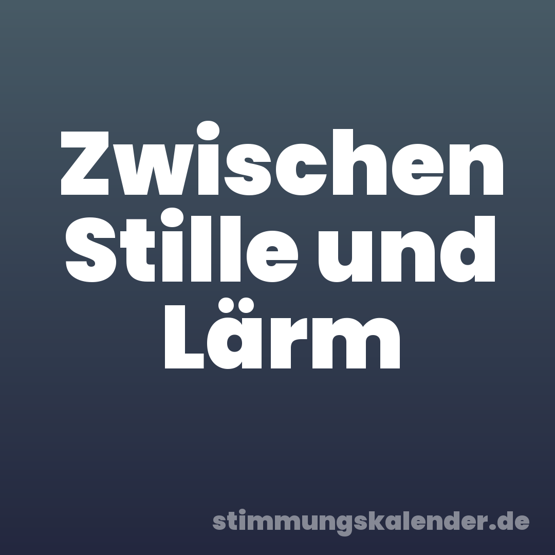 Zwischen Stille und Lärm