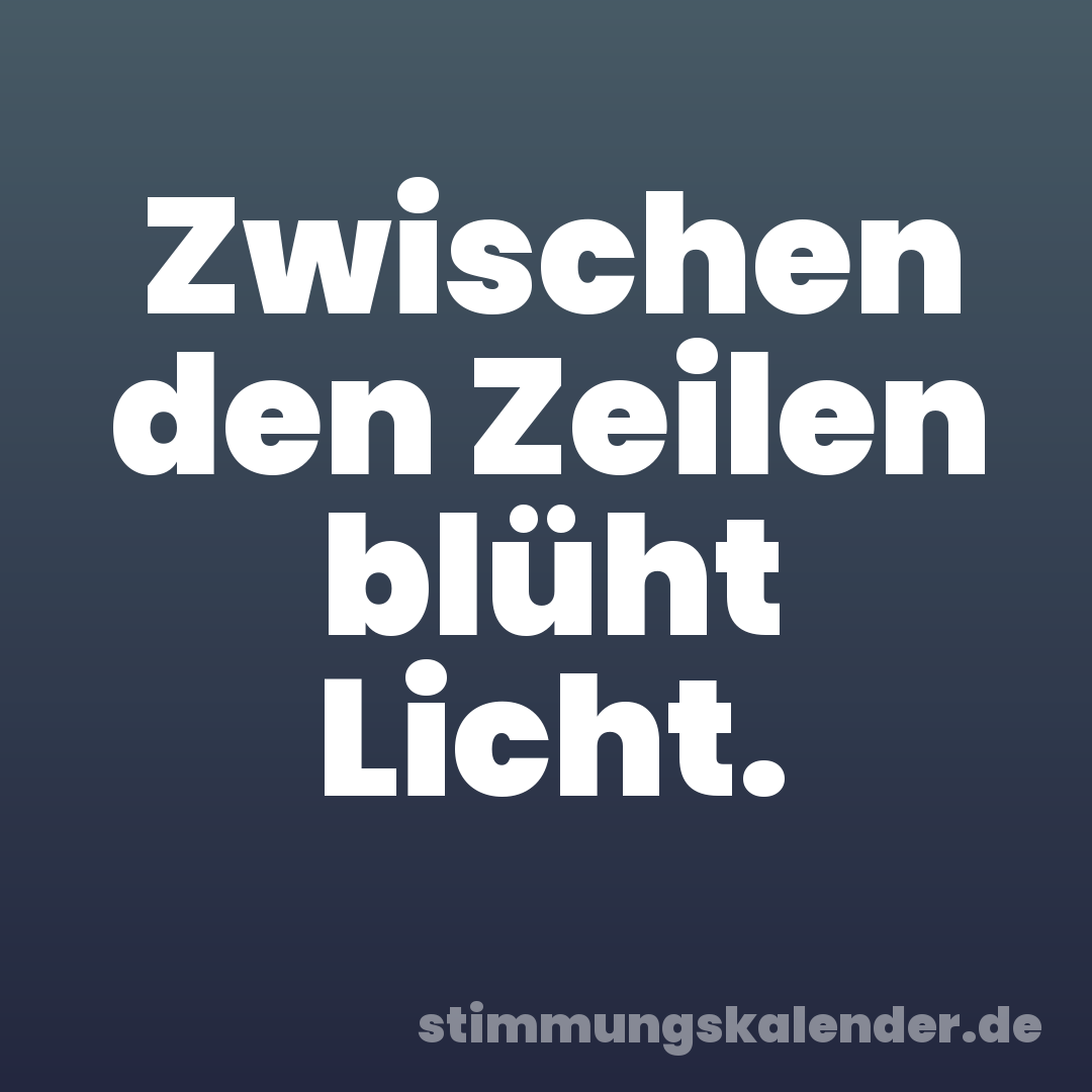Zwischen den Zeilen blüht Licht.