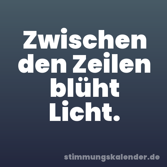 Zwischen den Zeilen blüht Licht.