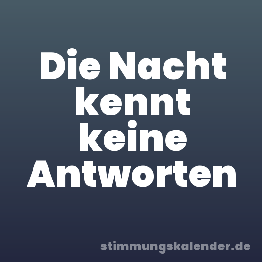 Die Nacht kennt keine Antworten