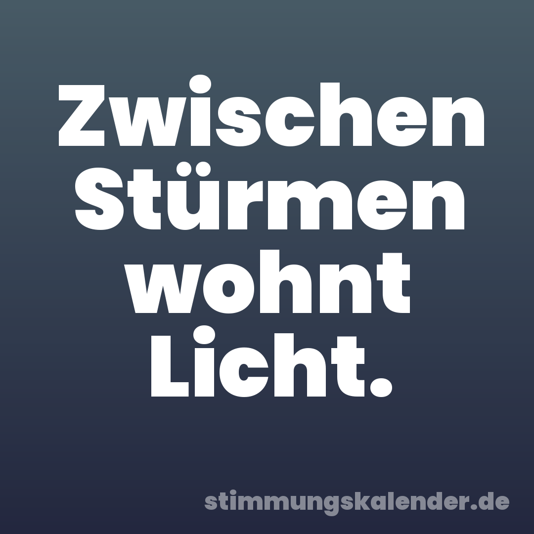 Zwischen Stürmen wohnt Licht.