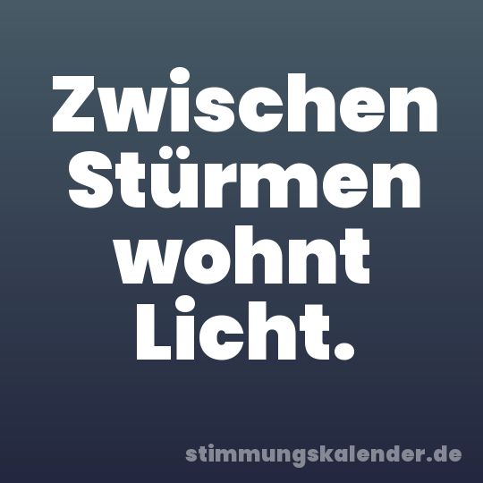 Zwischen Stürmen wohnt Licht.