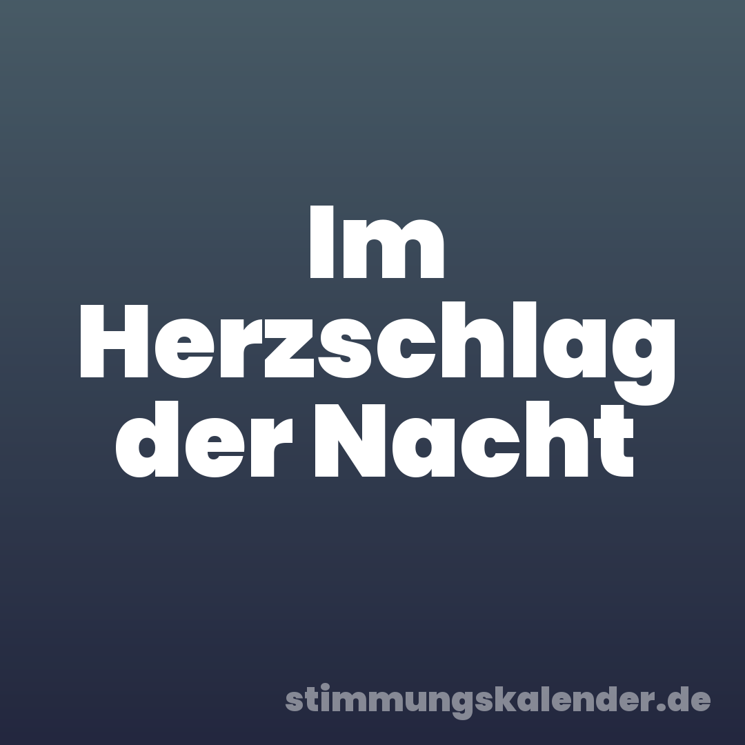 Im Herzschlag der Nacht