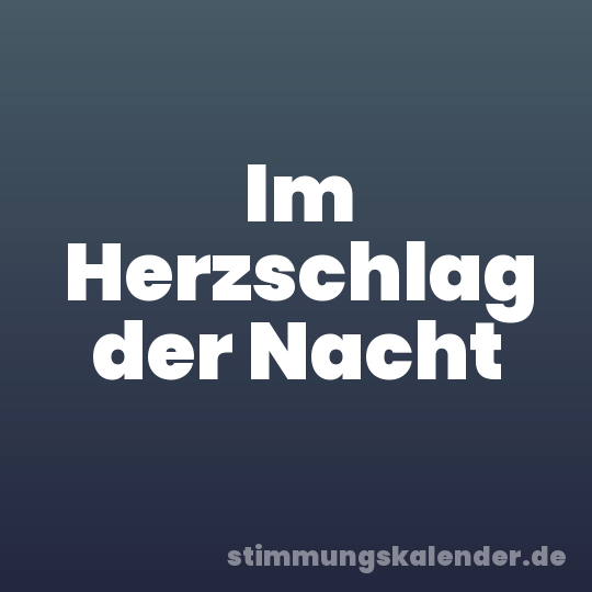Im Herzschlag der Nacht