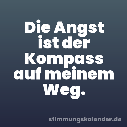 Die Angst ist der Kompass auf meinem Weg.