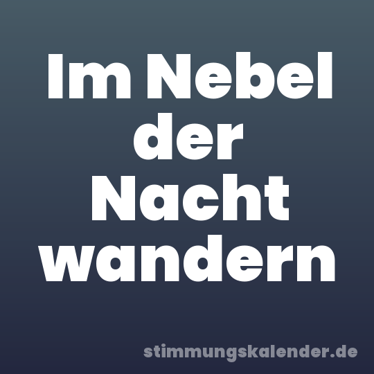 Im Nebel der Nacht wandern