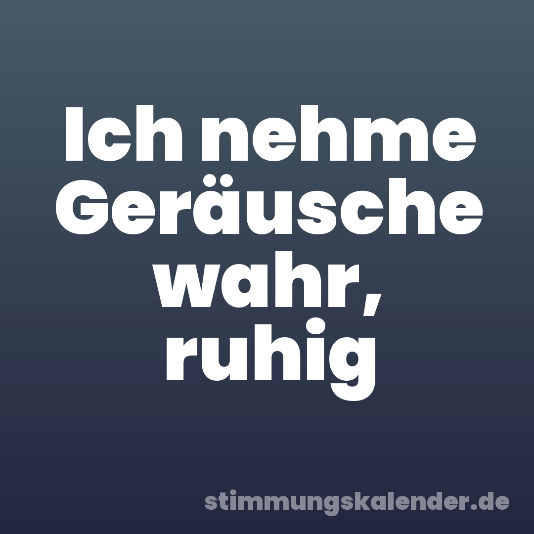 Ich nehme Geräusche wahr, ruhig