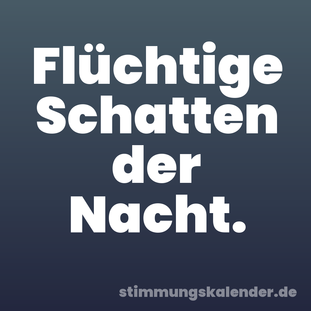 Flüchtige Schatten der Nacht.