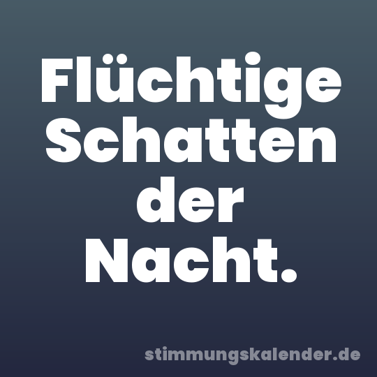 Flüchtige Schatten der Nacht.