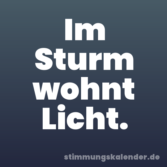 Im Sturm wohnt Licht.