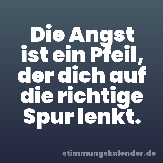 Die Angst ist ein Pfeil, der dich auf die richtige Spur lenkt.
