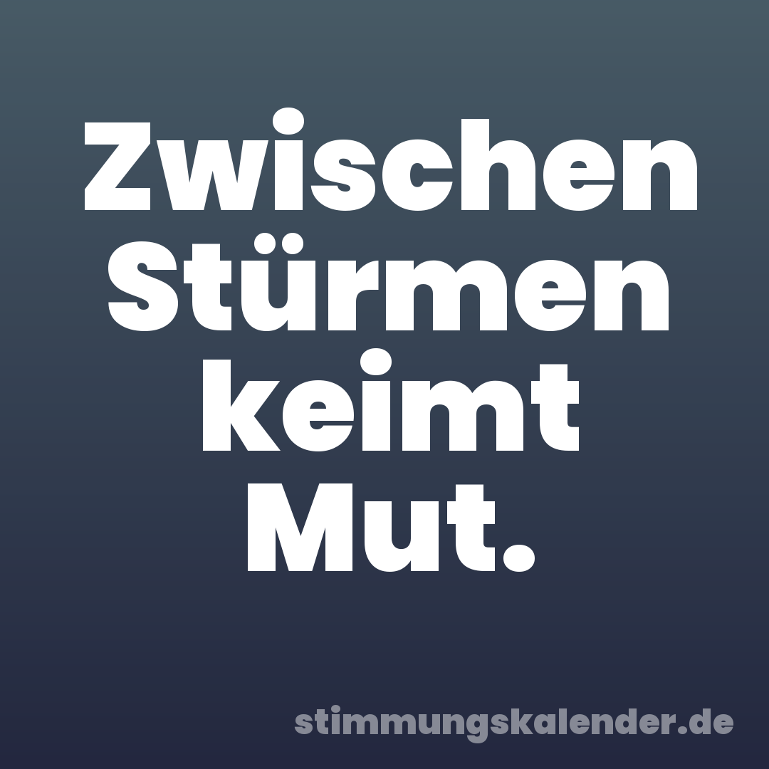 Zwischen Stürmen keimt Mut.