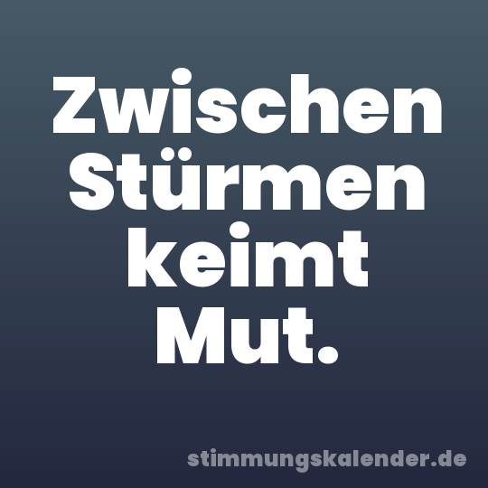 Zwischen Stürmen keimt Mut.