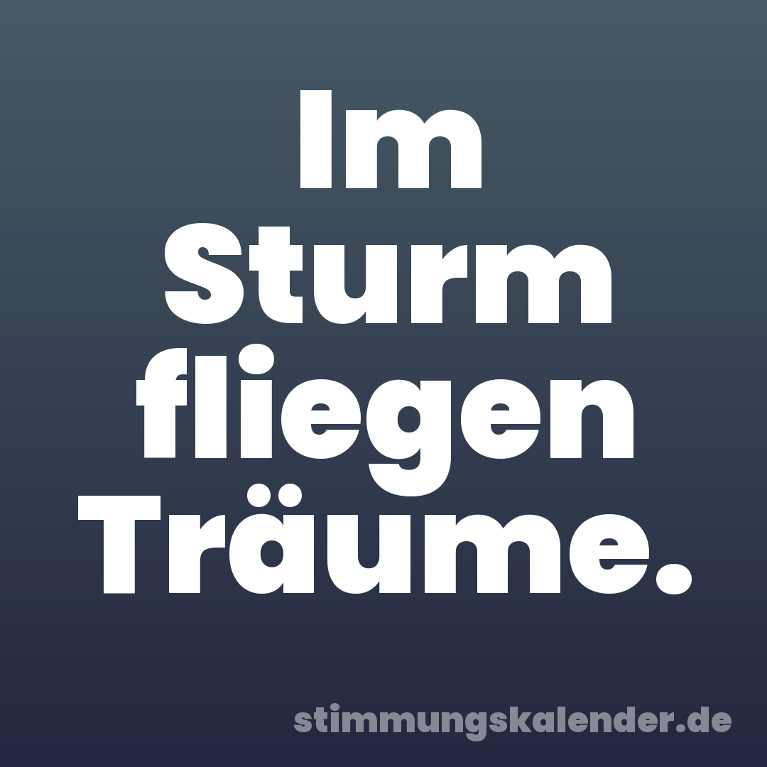 Im Sturm fliegen Träume.