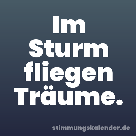 Im Sturm fliegen Träume.