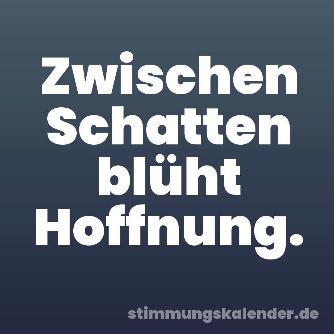 Zwischen Schatten blüht Hoffnung.