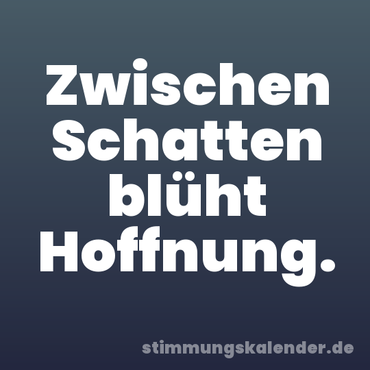 Zwischen Schatten blüht Hoffnung.
