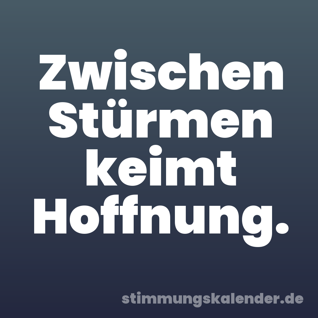 Zwischen Stürmen keimt Hoffnung.