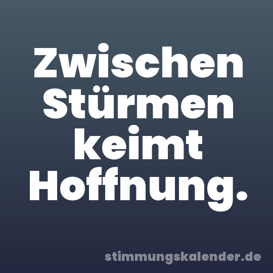 Zwischen Stürmen keimt Hoffnung.