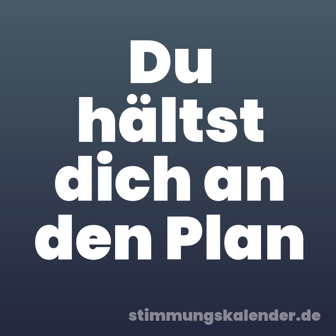 Du hältst dich an den Plan