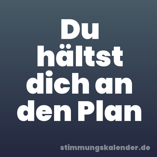 Du hältst dich an den Plan