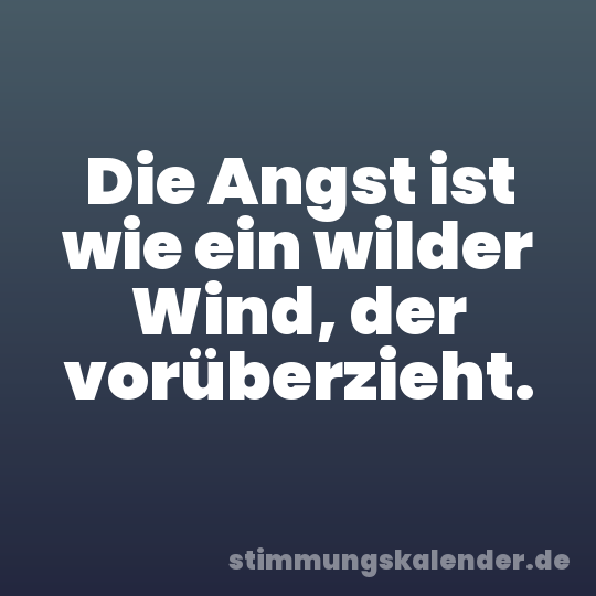 Die Angst ist wie ein wilder Wind, der vorüberzieht.