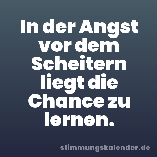 In der Angst vor dem Scheitern liegt die Chance zu lernen.