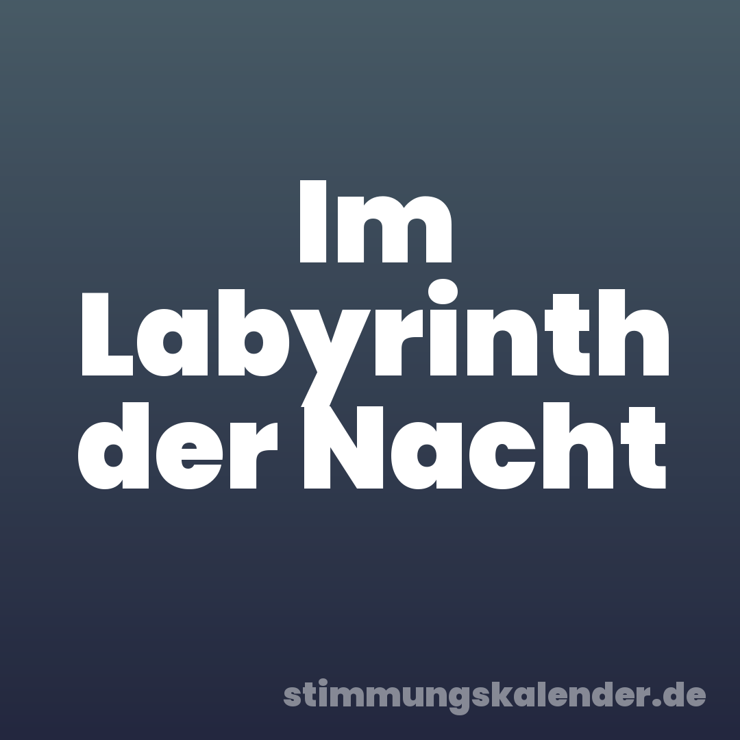 Im Labyrinth der Nacht