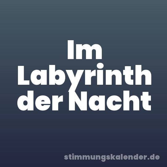Im Labyrinth der Nacht