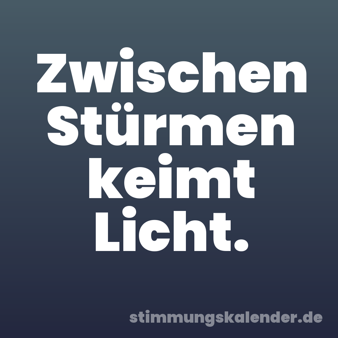 Zwischen Stürmen keimt Licht.