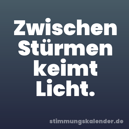 Zwischen Stürmen keimt Licht.