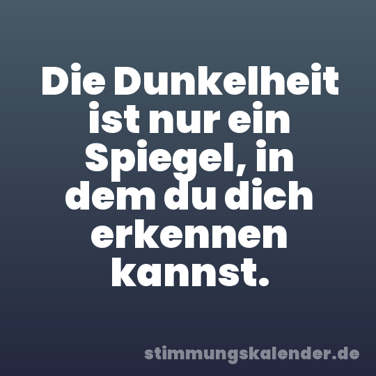 Die Dunkelheit ist nur ein Spiegel, in dem du dich erkennen kannst.