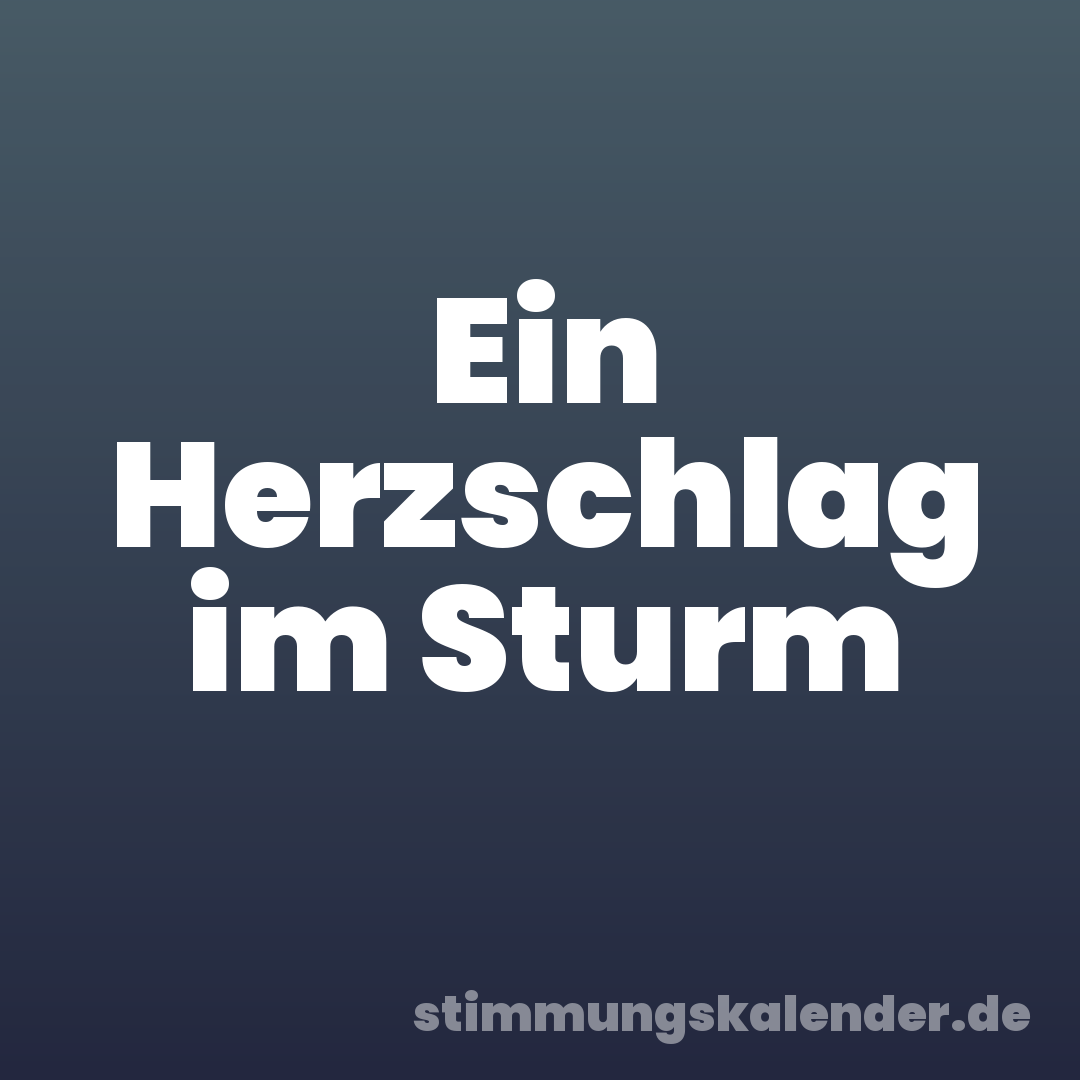 Ein Herzschlag im Sturm