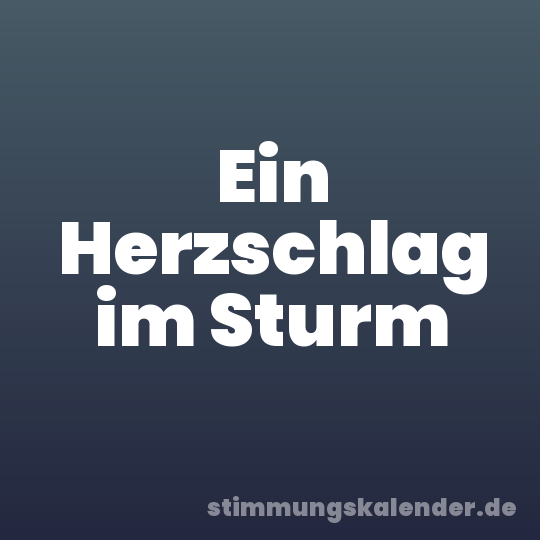 Ein Herzschlag im Sturm