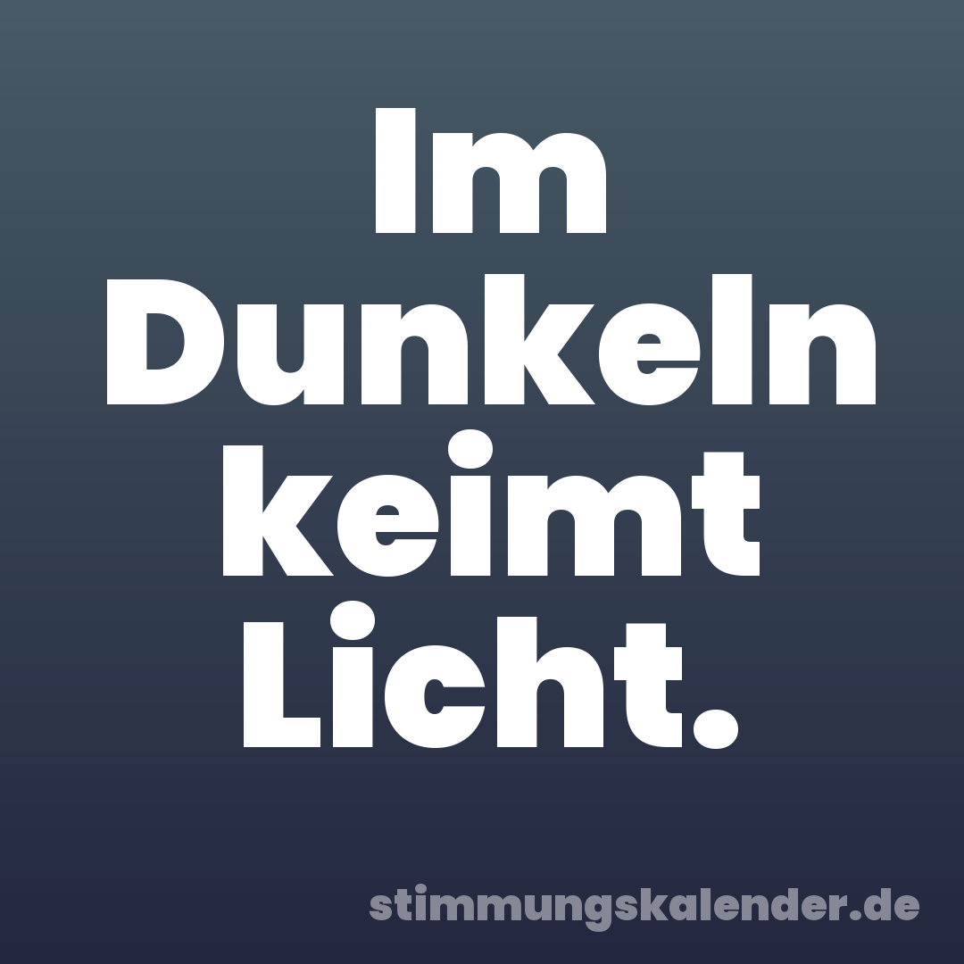 Im Dunkeln keimt Licht.