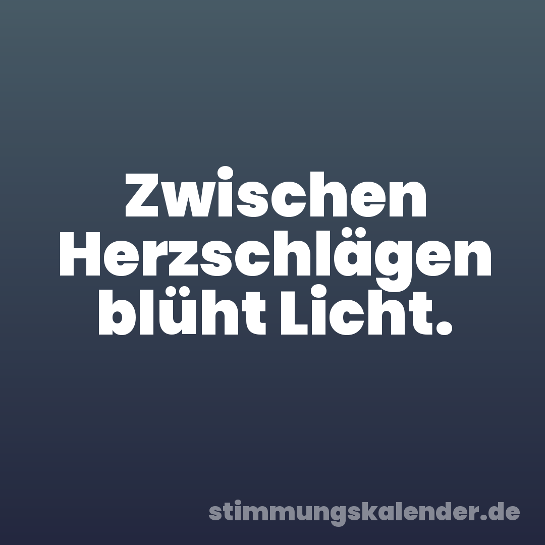 Zwischen Herzschlägen blüht Licht.