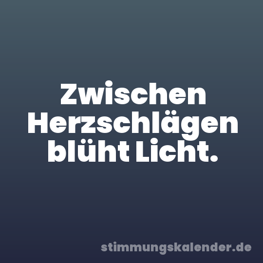 Zwischen Herzschlägen blüht Licht.