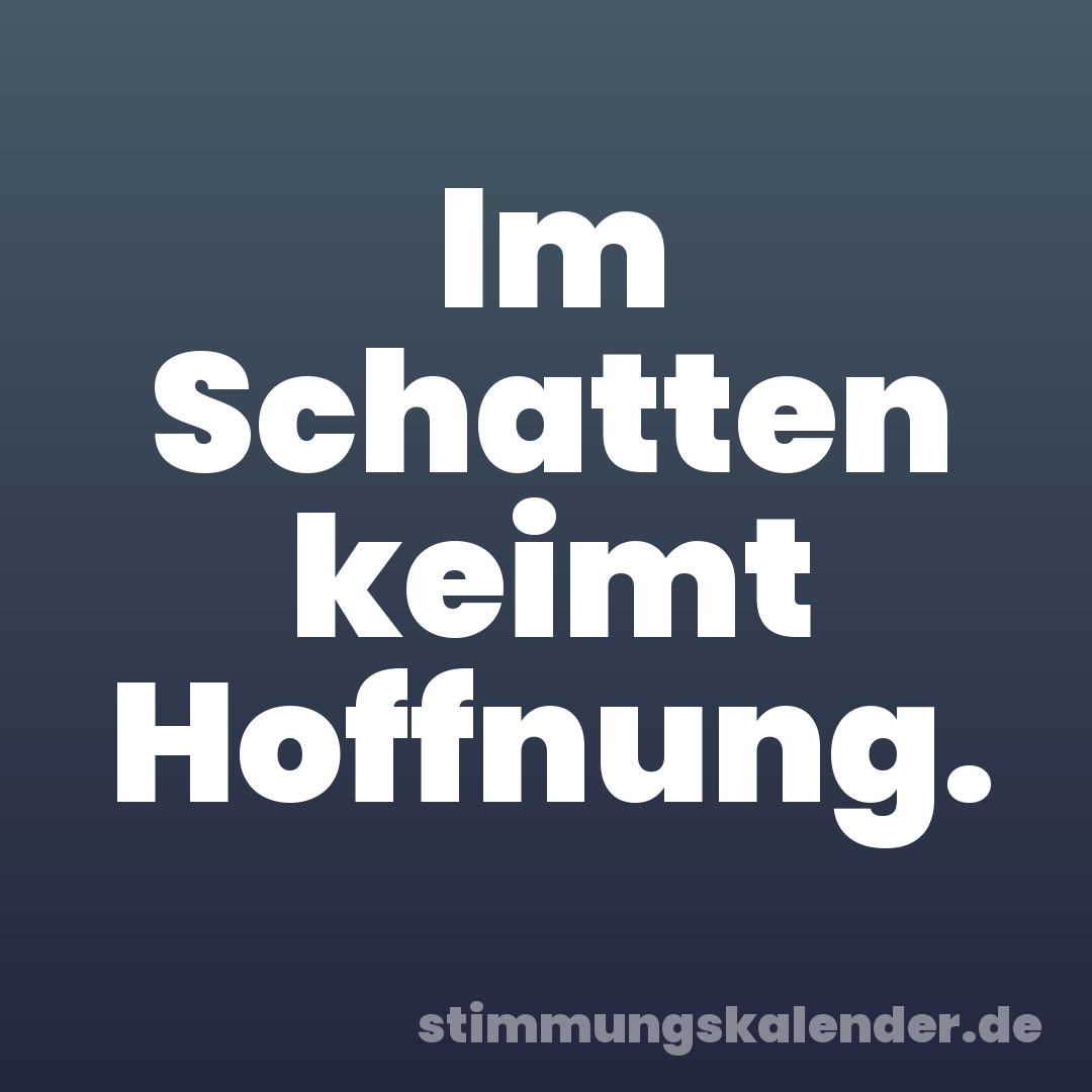 Im Schatten keimt Hoffnung.