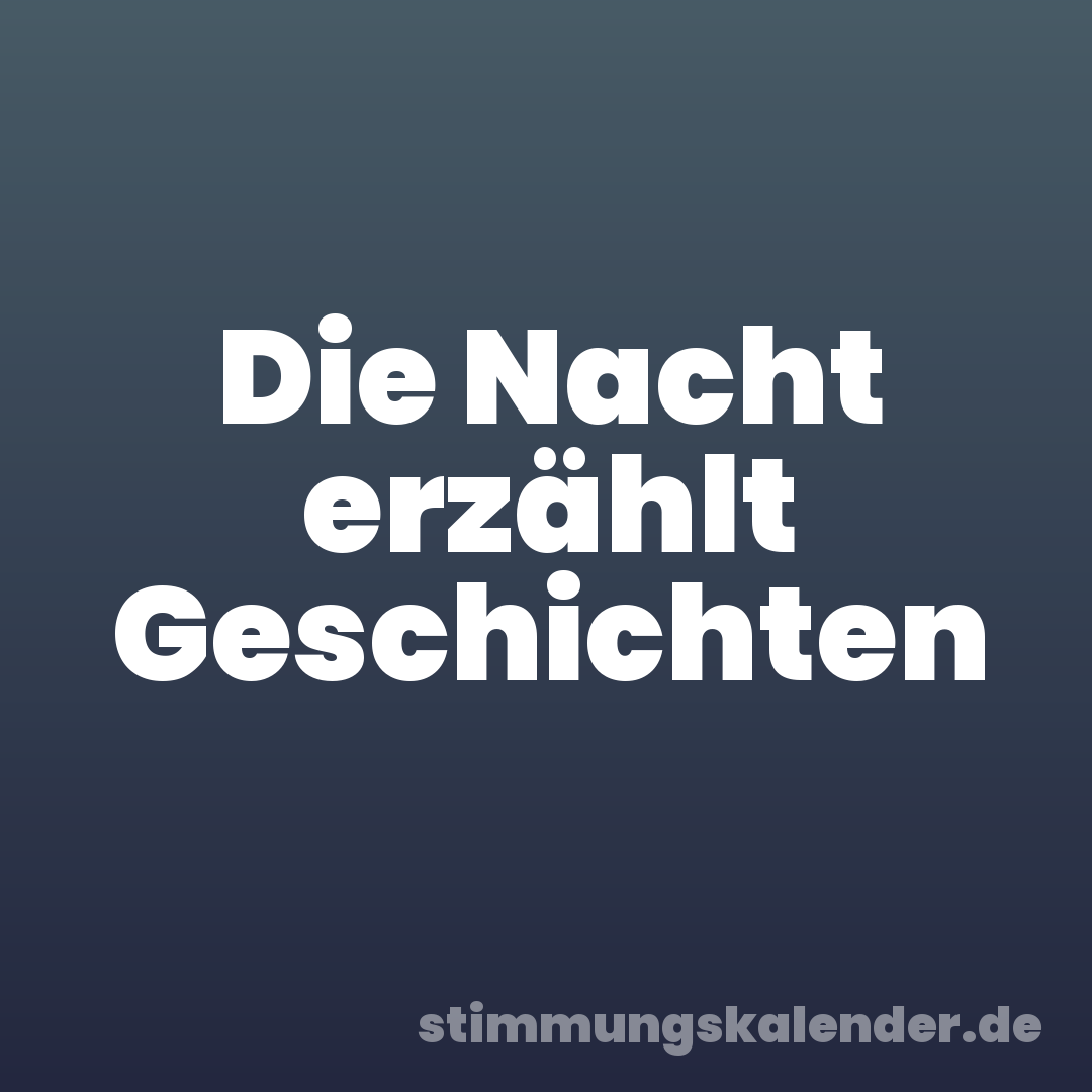 Die Nacht erzählt Geschichten