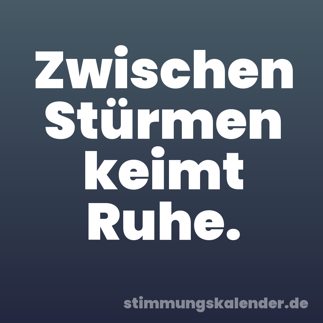 Zwischen Stürmen keimt Ruhe.