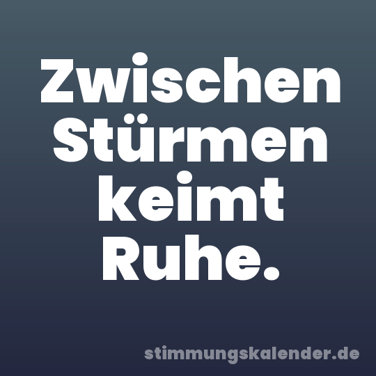 Zwischen Stürmen keimt Ruhe.