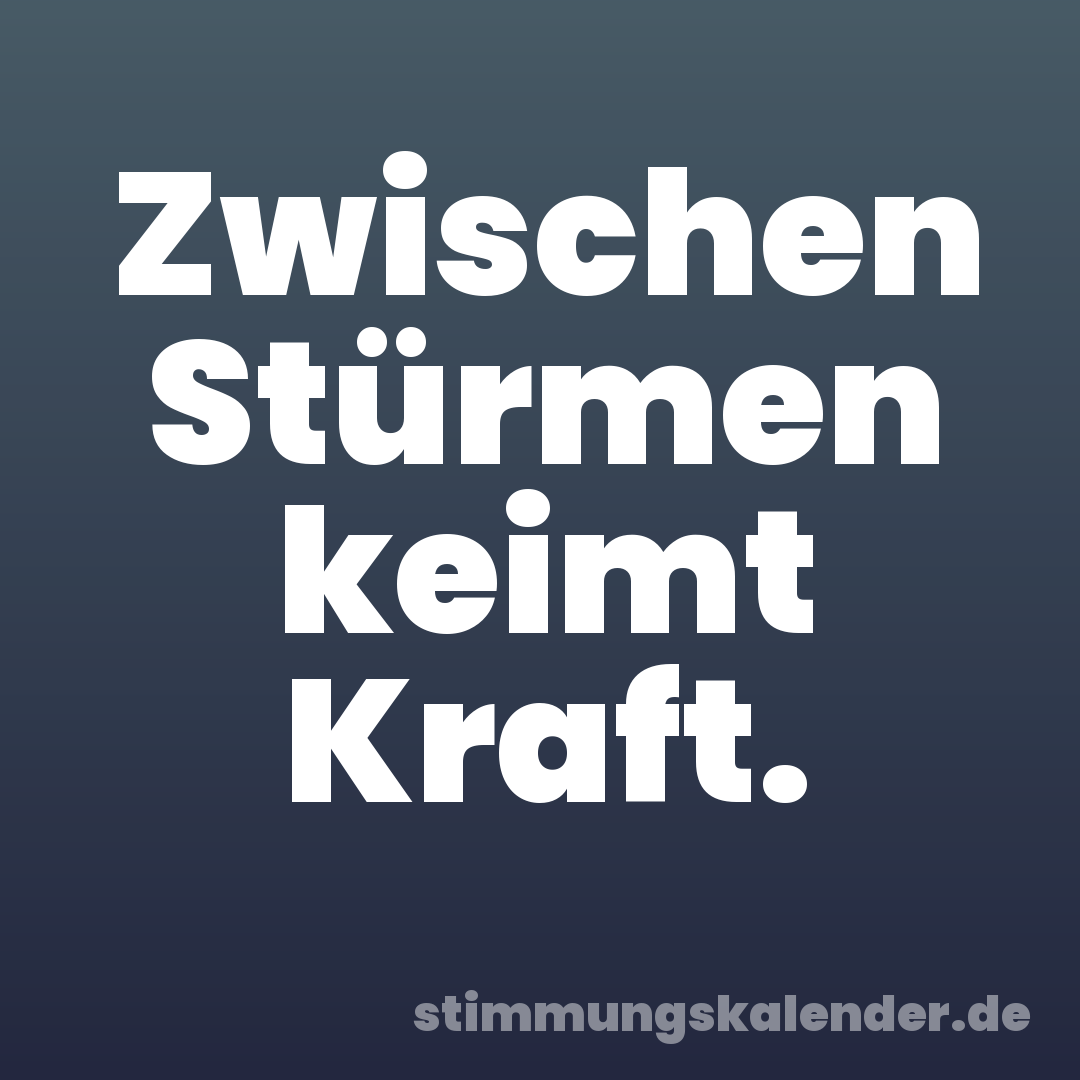 Zwischen Stürmen keimt Kraft.