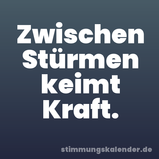Zwischen Stürmen keimt Kraft.
