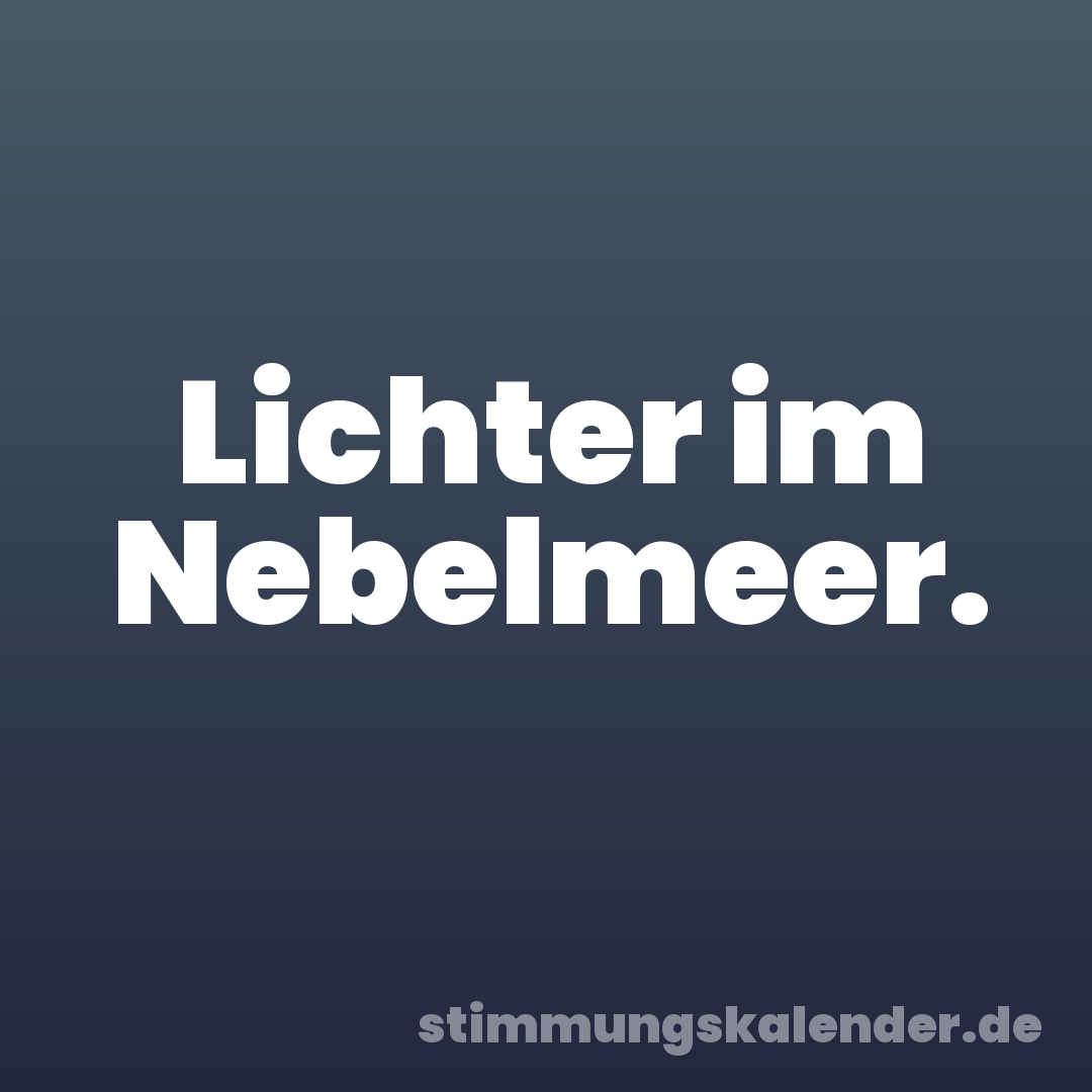 Lichter im Nebelmeer.