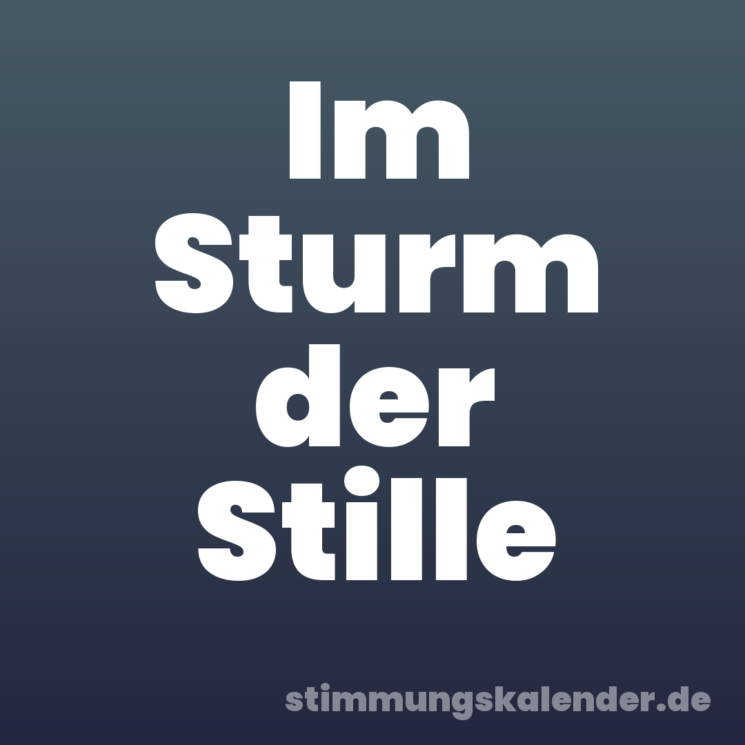 Im Sturm der Stille