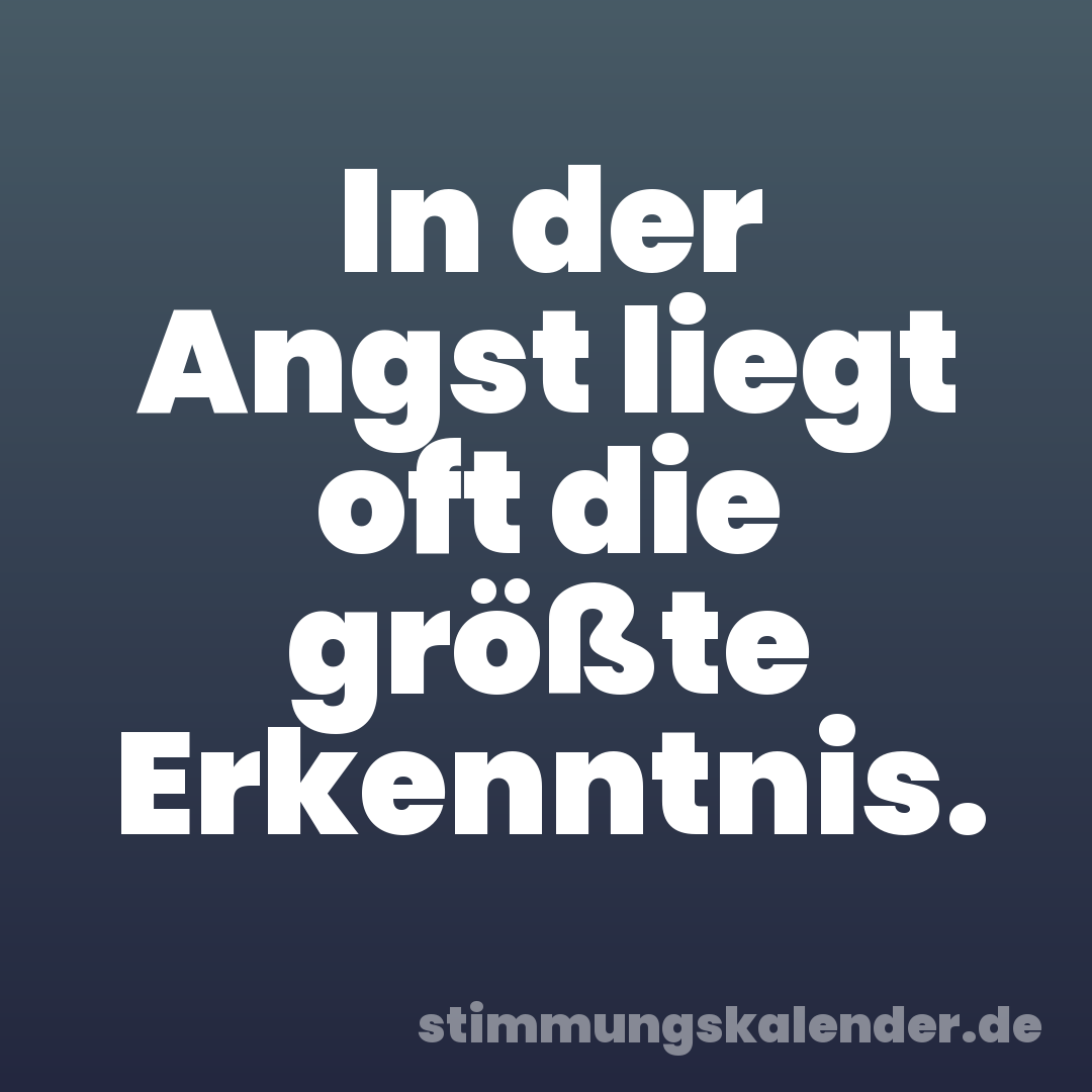 In der Angst liegt oft die größte Erkenntnis.